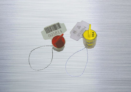 S14E�����i